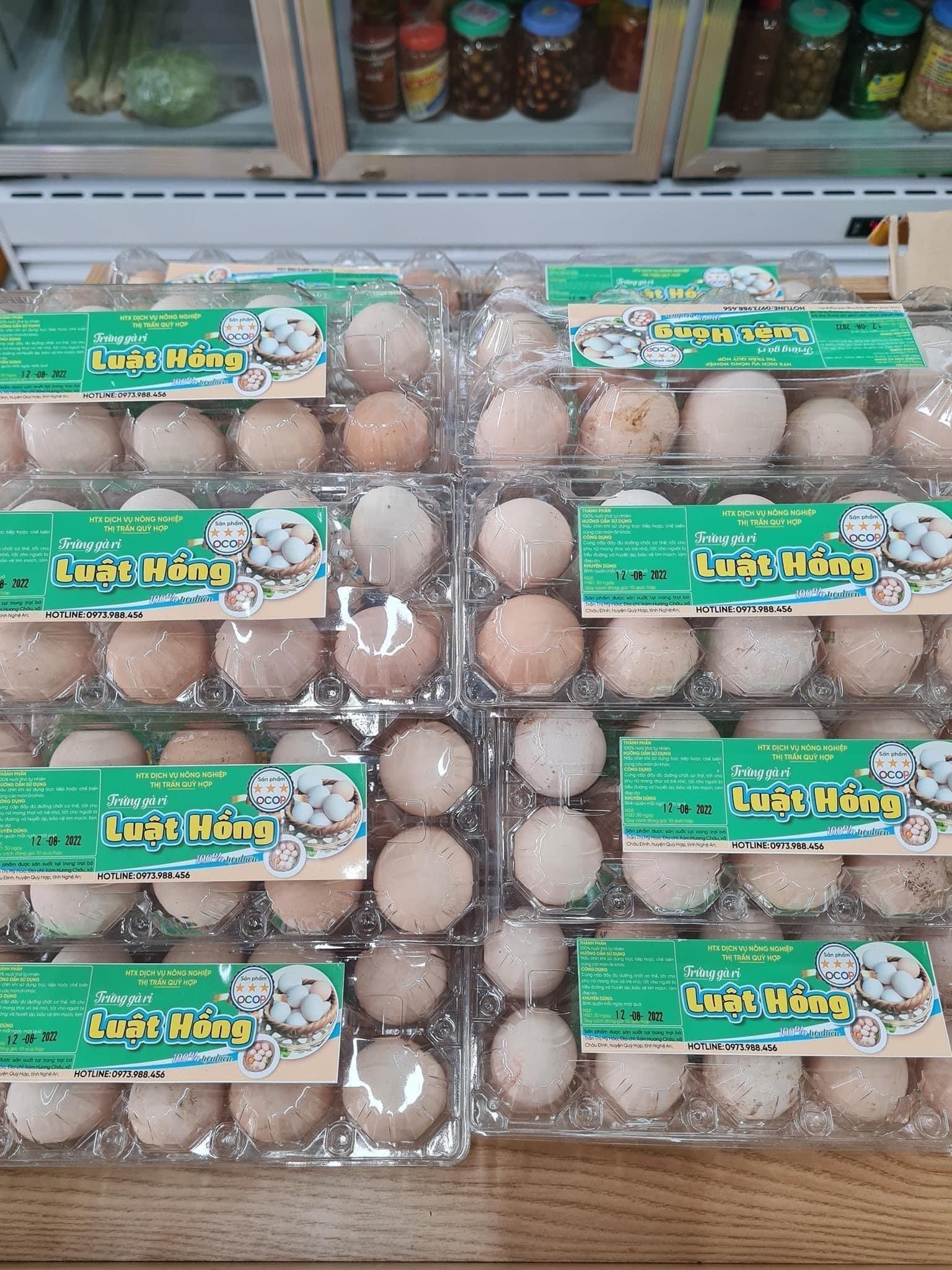 Trứng Gà ri Luật Hồng vỉ 10 quả